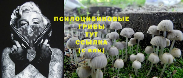 прущая мука Михайловск