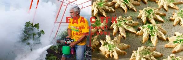 крисы Магас