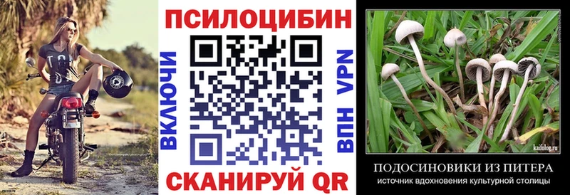 Псилоцибиновые грибы Psilocybe  сколько стоит  Кашин 